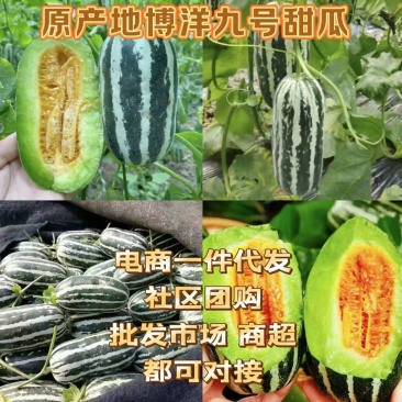 【源头直采】博洋9号产地一级市场一条龙服务资源配套齐全
