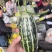 【源头直采】博洋9号产地一级市场一条龙服务资源配套齐全