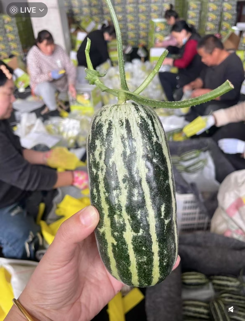 【源头直采】博洋9号产地一级市场一条龙服务资源配套齐全