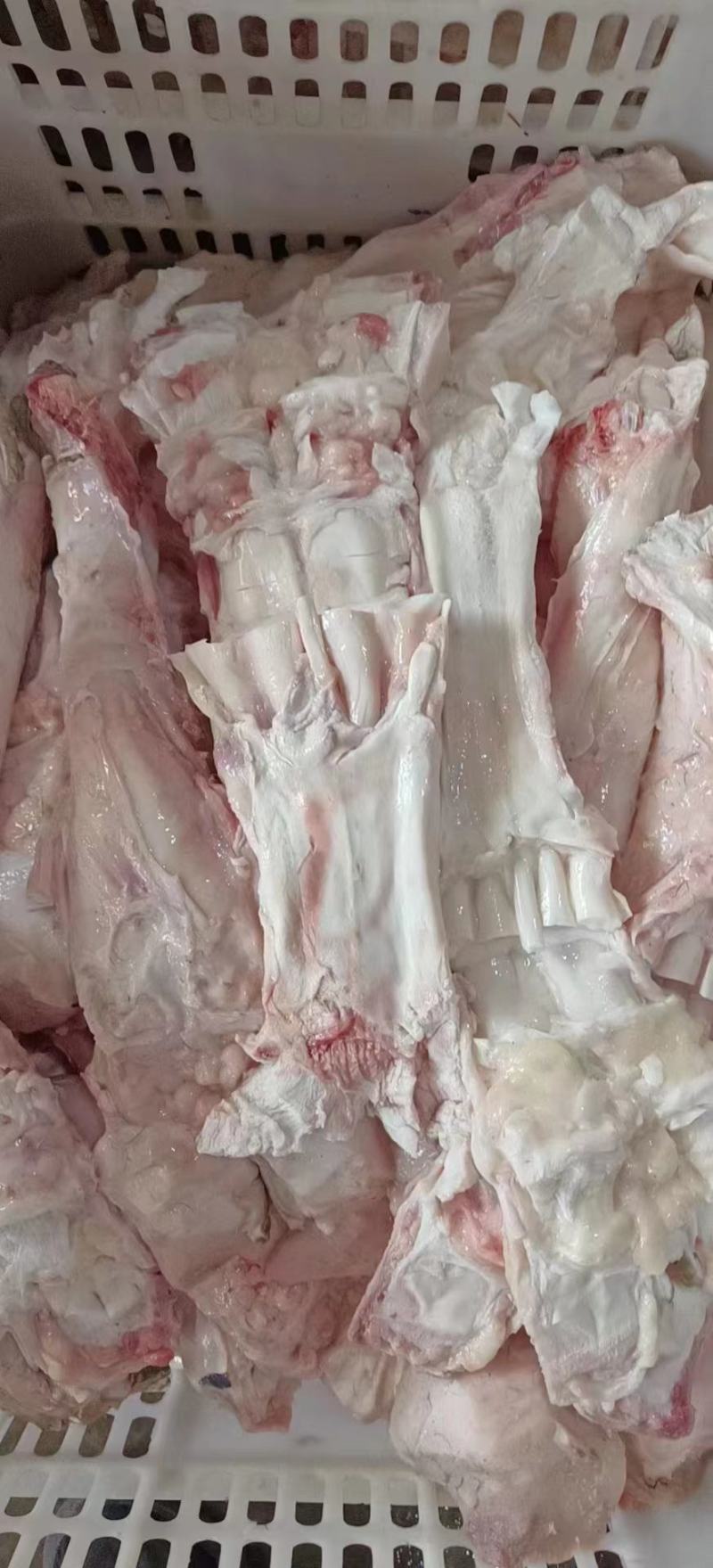 纯干牛蹄筋，山东济南商河大量有货。欢迎咨询实地看货。