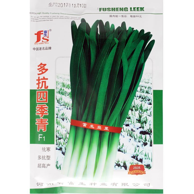 多抗四季青韭菜种子多抗型耐热耐寒无干尖冬季不休眠
