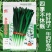 多抗四季青韭菜种子多抗型耐热耐寒无干尖冬季不休眠