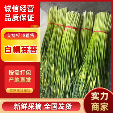 白帽蒜苔，红帽蒜苔，大量了！承接市场，平台，团购，超市！