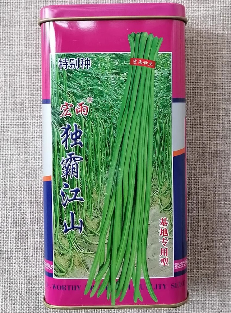 独霸江山豇豆种子耐热抗病不鼓籽无鼠尾双荚率高