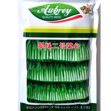 翠绿二号菜心种子早熟四九菜心种子叶片椭圆油亮矮脚