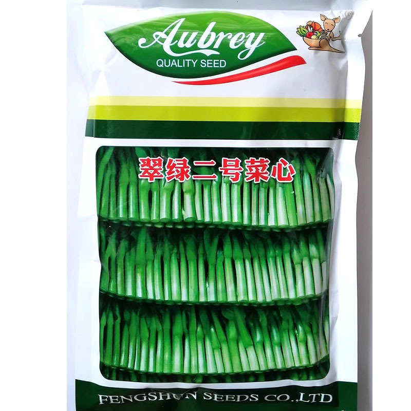 翠绿二号菜心种子早熟四九菜心种子叶片椭圆油亮矮脚