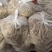 山东菏泽牡丹区生牛奶渣牛副产品大量供应欢迎下单