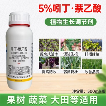 吲丁萘乙酸植物生长调节剂促根壮苗移栽扦提高出芽率成活率