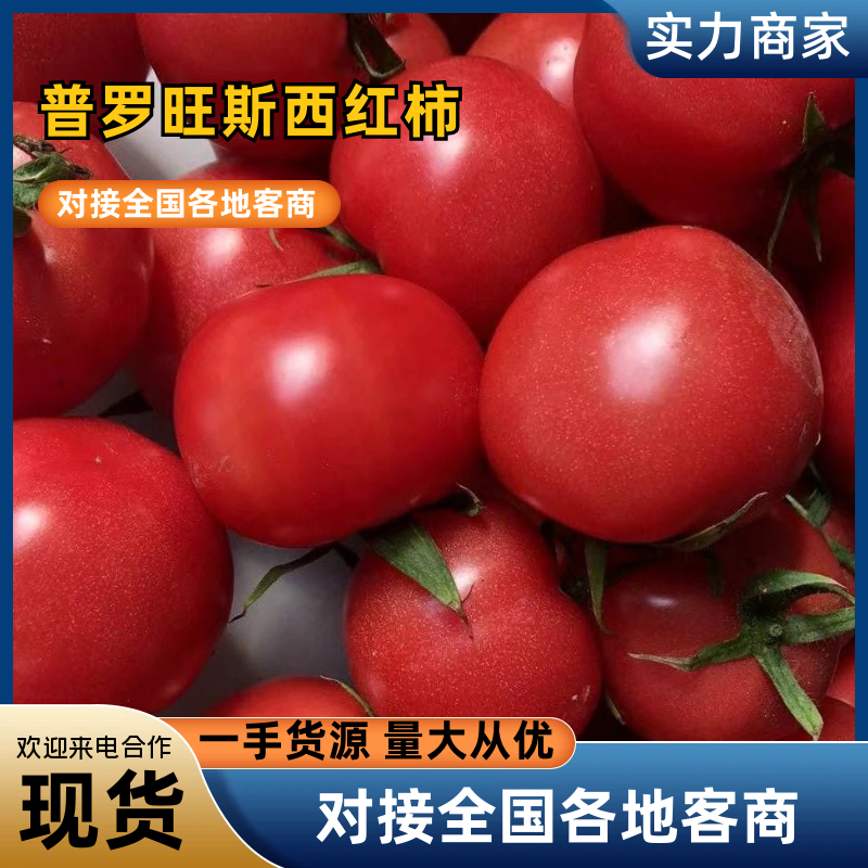 普罗旺斯产地批发一手货源量大从优质量保证欢迎咨询