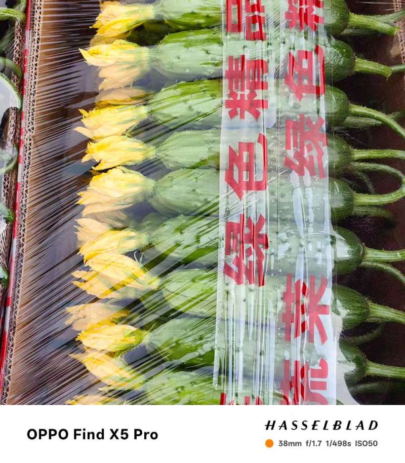 旱黄瓜精品规格齐全，品质保证，价格优惠，诚信经营