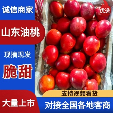 （精品推荐）山东油桃/4号5号126号中油油桃