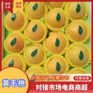 【优选】黄毛桃基础直供全国发货可对接电商商超等