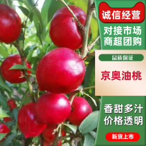 【精品】京奥油桃产地直供现货供应欢迎选购！现摘现发