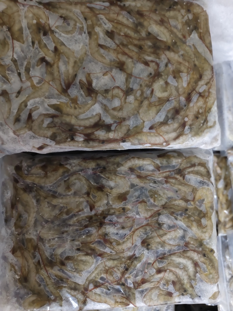 小海虾，品质保证，价格漂亮