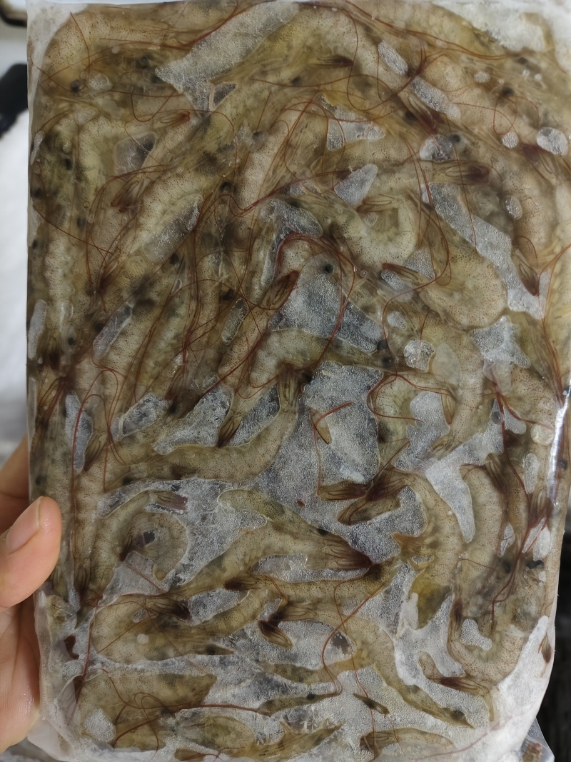 小海虾，品质保证，价格漂亮