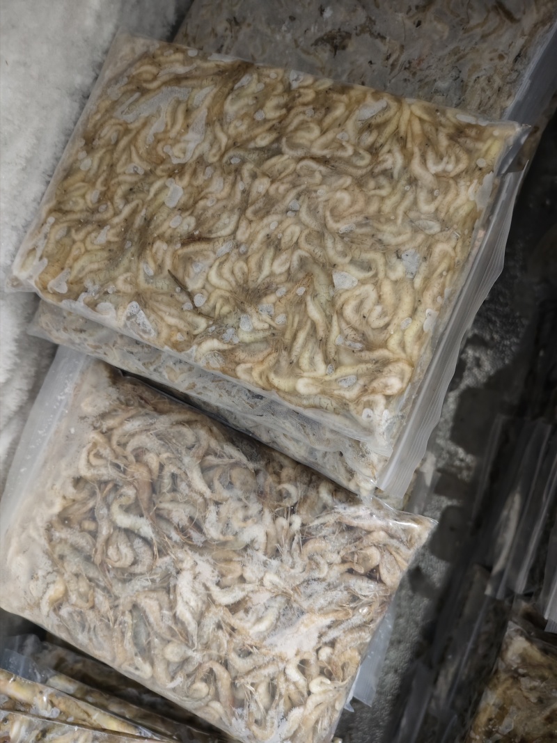 河虾，冰鲜/冻版大量发货