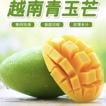 越南青玉芒云南发货替代金煌芒大青芒芒果支持一件代发