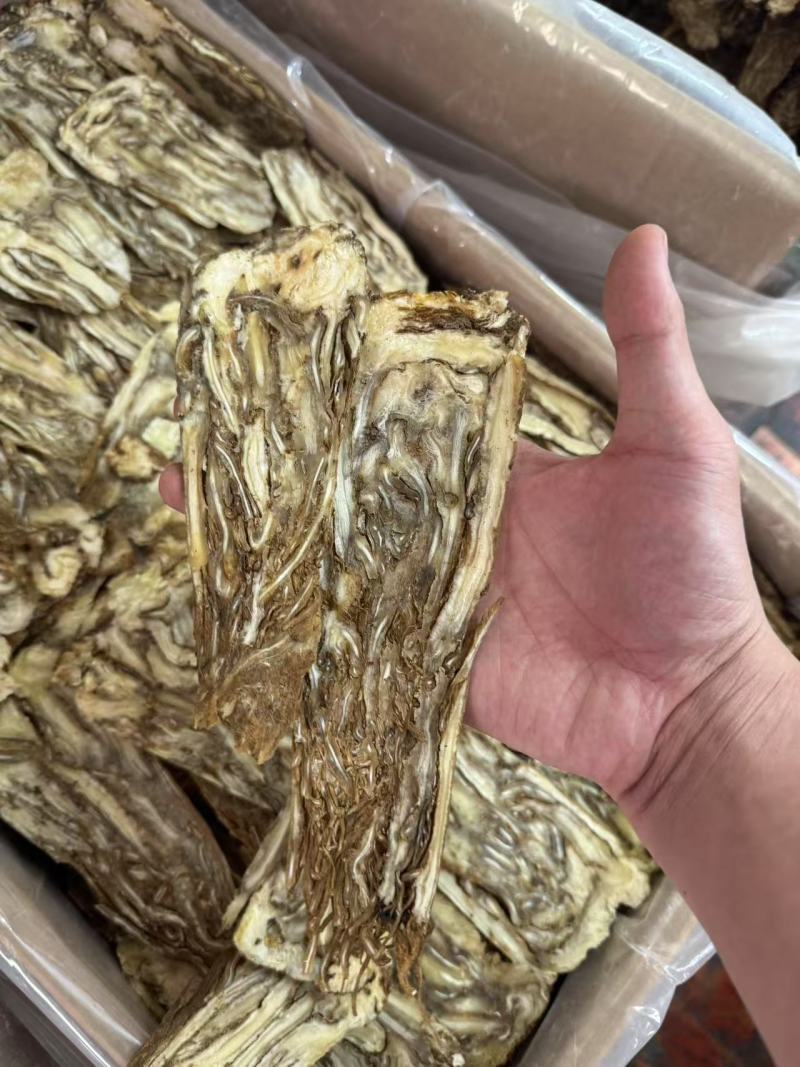 当归片当归个子当归头可视频看货对接全国市场量大