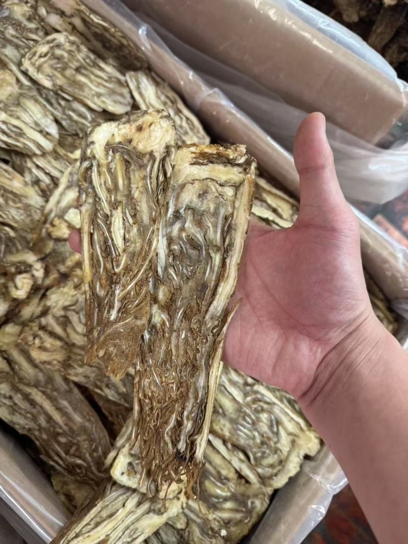 当归片当归个子当归头可视频看货对接全国市场量大
