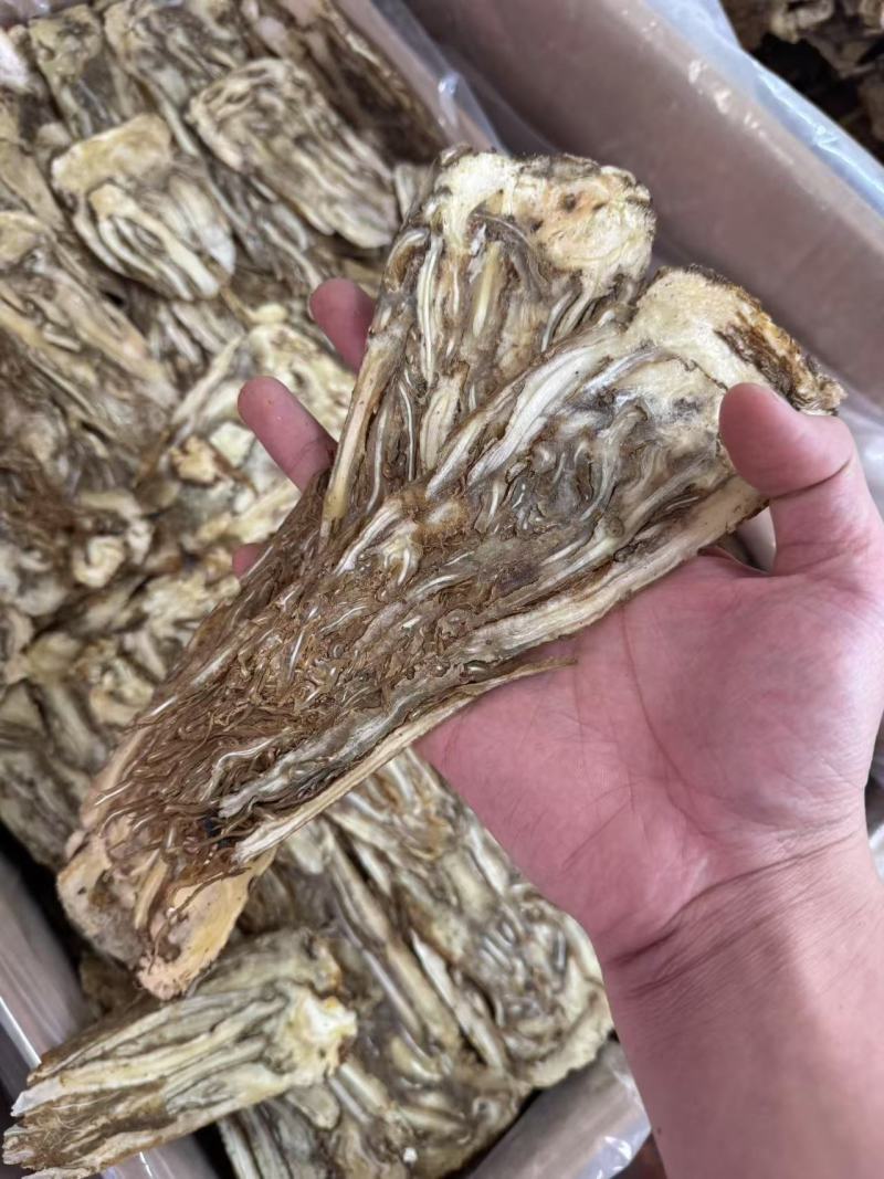 当归片当归个子当归头可视频看货对接全国市场量大