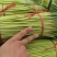 中牟红薹蒜苔红帽蒜薹产地直销量大质优价格优惠欢迎采购