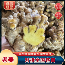 生姜老姜云南老姜货源充足供应商超市场电商