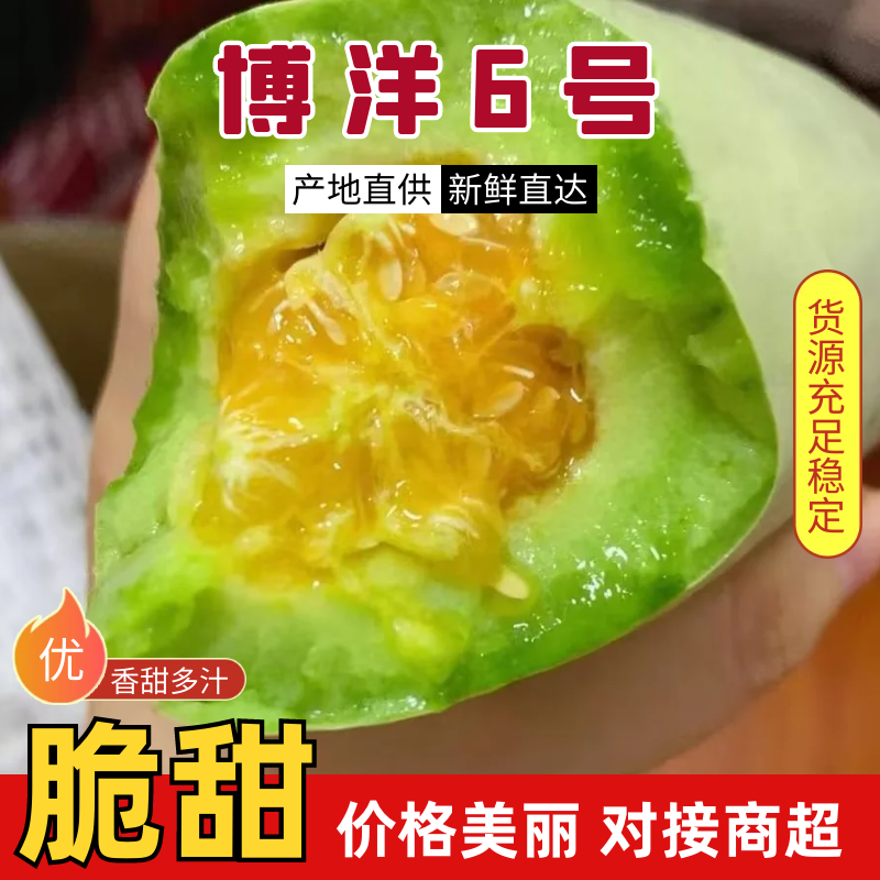 精品河南安阳博洋6大量供应，货源充足，量大从优，新鲜采摘