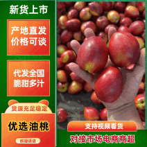 中油4号大棚油桃山东聊城冠县需要的联系我吧