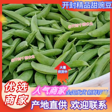 精品甜豆豌豆产地直发保质保量供应电商超市市场