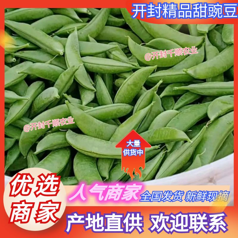 精品甜豆豌豆产地直发保质保量供应电商超市市场