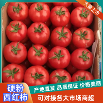 暖棚硬粉西红柿大量下货，价格便宜，亮度好。欢迎咨询采购