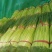 蒜薹红帽蒜薹开封红帽蒜苔产地直销干苔无泡欢迎