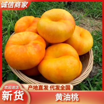 临沂蒙阴黄蟠桃各类油桃品种大量供应欢迎选购量大从优
