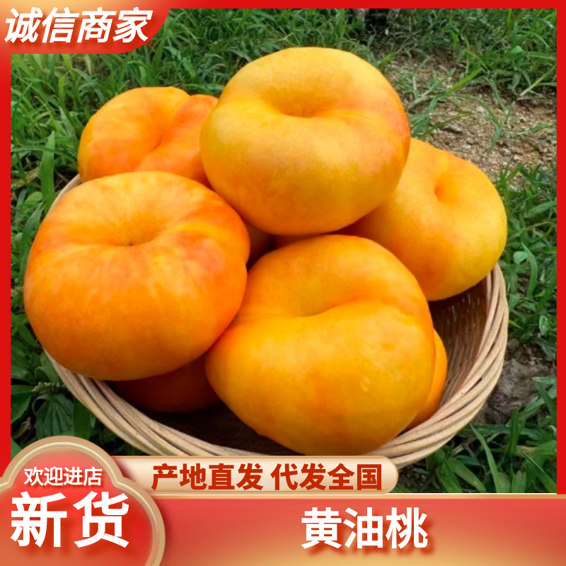 临沂蒙阴黄蟠桃各类油桃品种大量供应欢迎选购量大从优