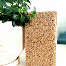 燕麦胚芽米真空包装500g大量供应工厂直销价低质优