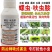 14%螺虫呋虫胺茶小绿叶蝉杀虫农药飞征战士螺虫乙酯呋虫胺