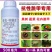 20%啶虫脒哒螨灵农药杀虫剂黄条跳甲啶虫哒螨灵农药