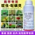20%啶虫脒哒螨灵农药杀虫剂黄条跳甲啶虫哒螨灵农药