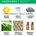 20%啶虫脒哒螨灵农药杀虫剂黄条跳甲啶虫哒螨灵农药