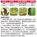 20%氟啶虫酰胺杀虫剂蚜虫桃树农药农用打虫药渗透性适用广
