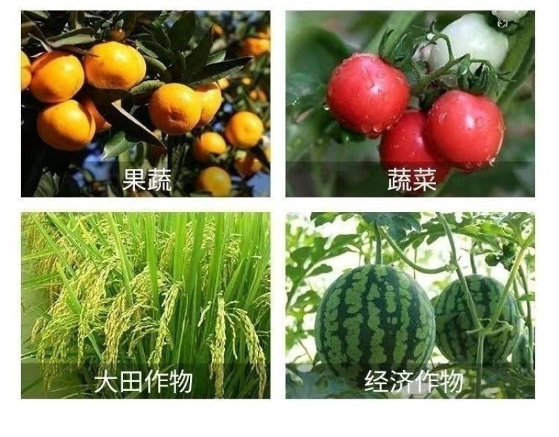 20%高氯马高效氯氟氰菊酯马拉硫磷苹果桃小食心虫钻心虫杀