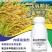 20%氯虫苯甲酰胺氯虫苯卷叶螟农药杀虫剂