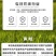 20%氯虫苯甲酰胺氯虫苯卷叶螟农药杀虫剂
