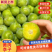 广西黄肉李子大量现货供应，现摘现发规格齐全，对接全国客商