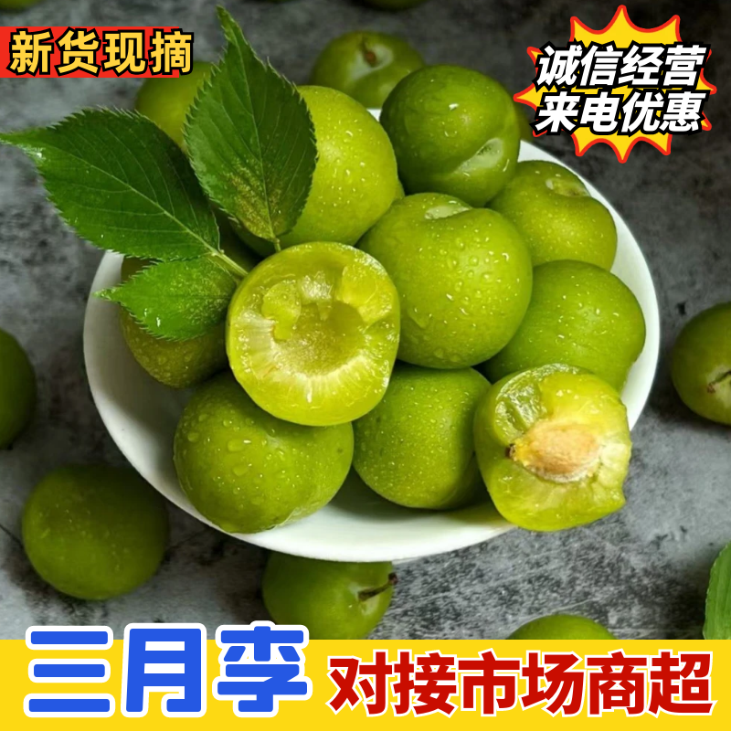 三月李广西李子（一手货源）量大价优，规格齐全可视频看货