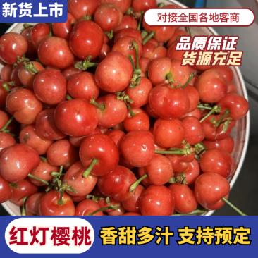 【精品】红灯樱桃基地直销支持视频看货规格齐全欢迎来电
