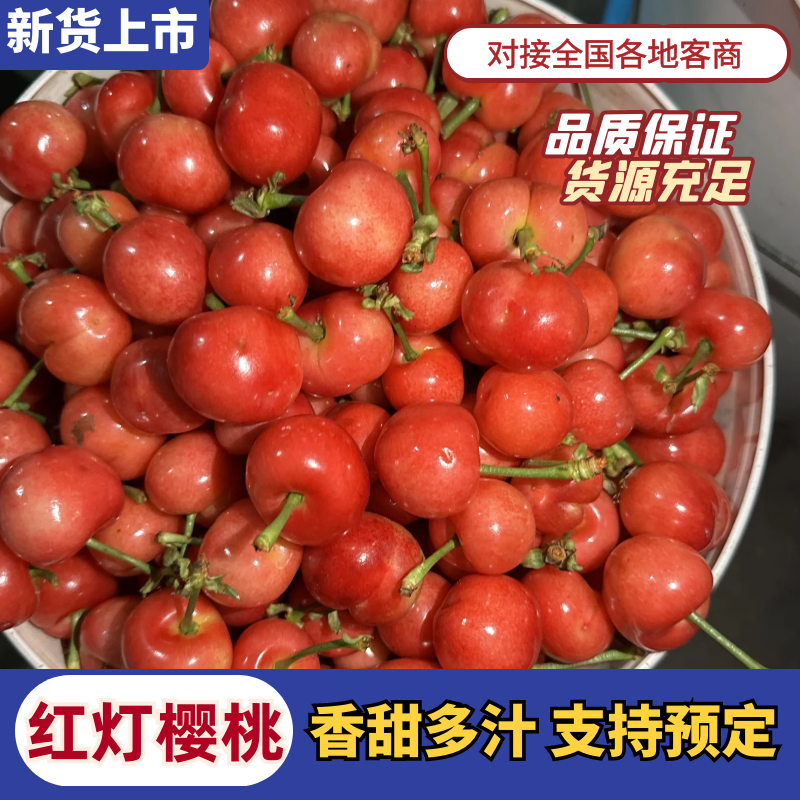【精品】红灯樱桃基地直销支持视频看货规格齐全欢迎来电