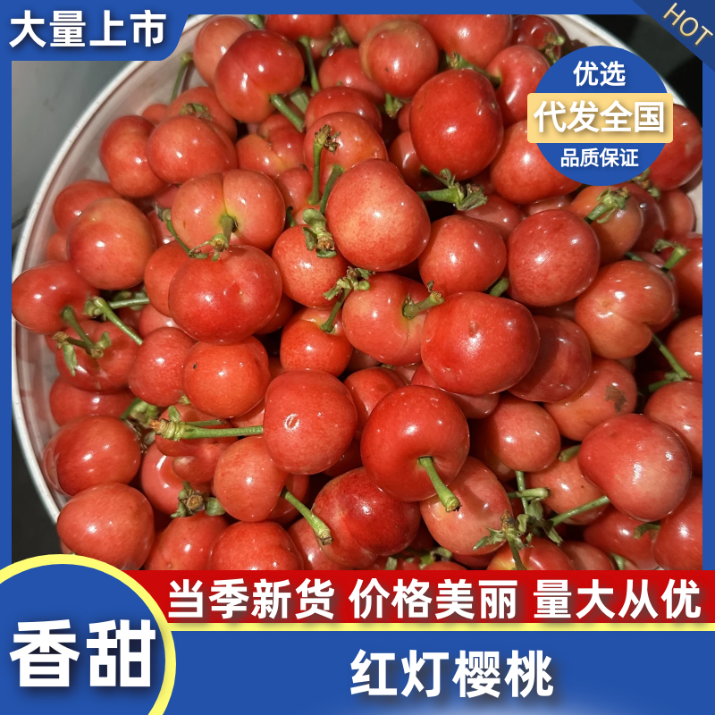 【精品】红灯樱桃基地直销量大质优价更优欢迎咨询采购