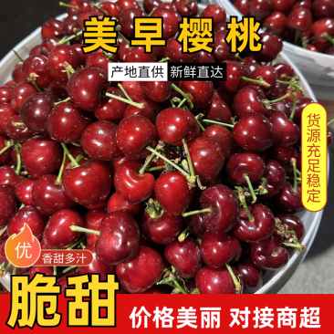 美早樱桃产地直销量大质优价格优惠一手货源欢迎咨询