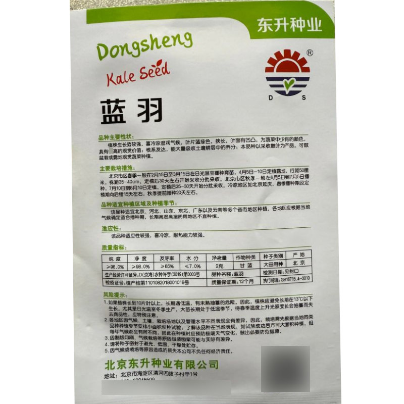 蓝羽皱叶菜种子羽麒麟羽衣甘蓝种子叶用甘蓝种子
